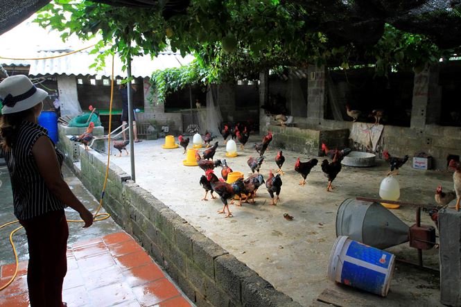 Ha Noi: Hoc sinh mang sach vo ngap nuoc lu phoi ben duong hinh anh 4